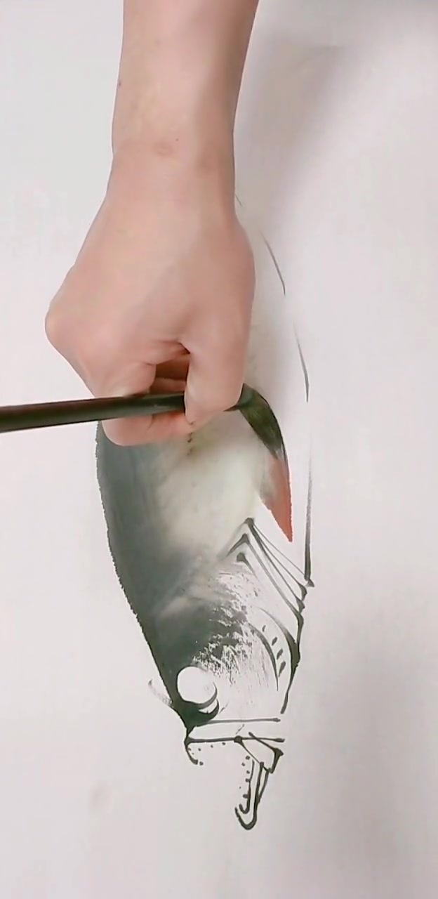 巧画三文鱼,鲑鱼画法