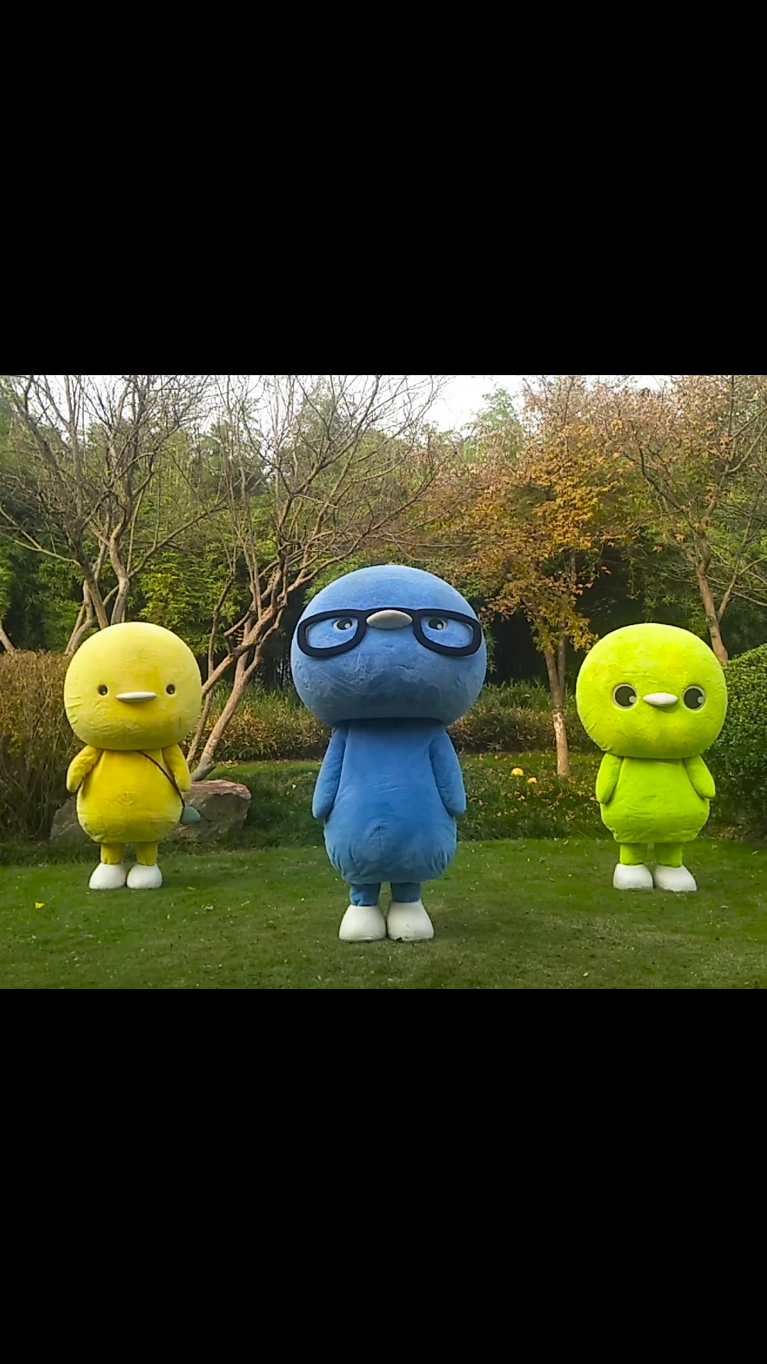 小鸡彩虹之灵动小埋舞