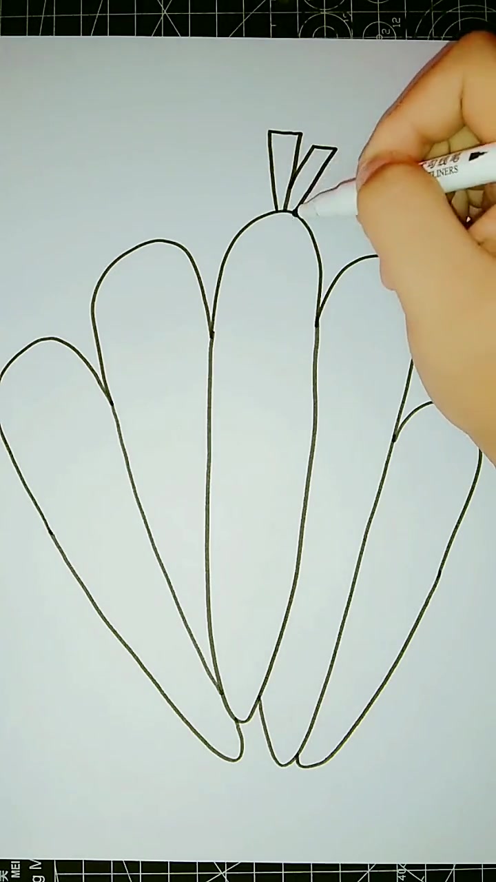 简笔画:教你画胡萝卜