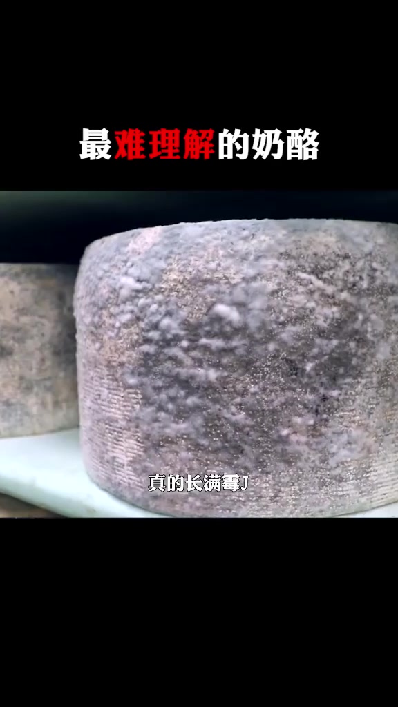 明明是块发霉的蛋糕,结果是一块顶级的奶酪,你想尝尝吗?