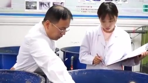 【鱼没水能活72小时,山东研发活鱼无水运输:让鱼休眠后再唤醒】6月16日,山东济南。国家农