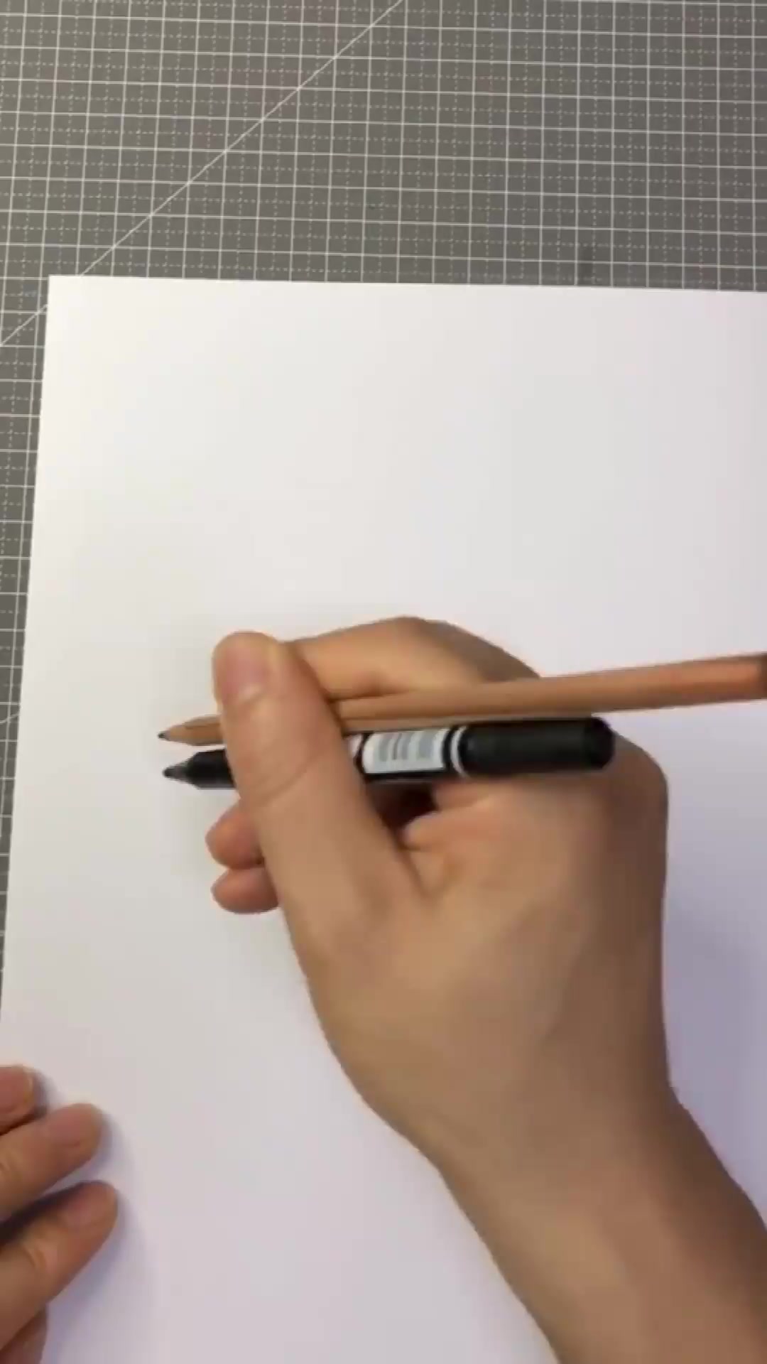 大神教你画3D小鱼,简单又好画,你学会了吗?