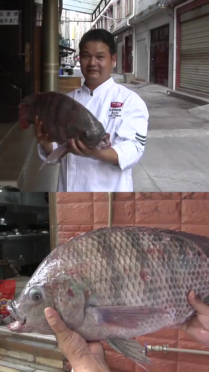 男子澜沧江钓起特大野生罗非鱼,长61cm厚12cm,最后1锅炖了