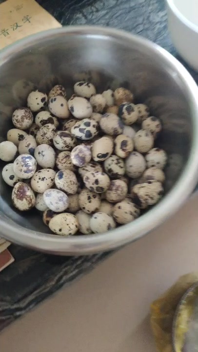 每天都是丰盛的菜肴