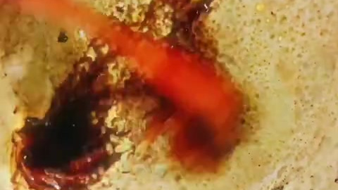 荞麦绿豆面煎饼果子 用荞麦面和绿豆面面糊摊煎饼、里面的薄脆换成健康的无油玉米片,好吃,健康