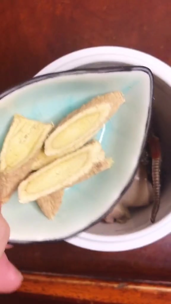 杜仲海马鸡汤这样做,好吃又营养,女生产后更哦哦要多喝