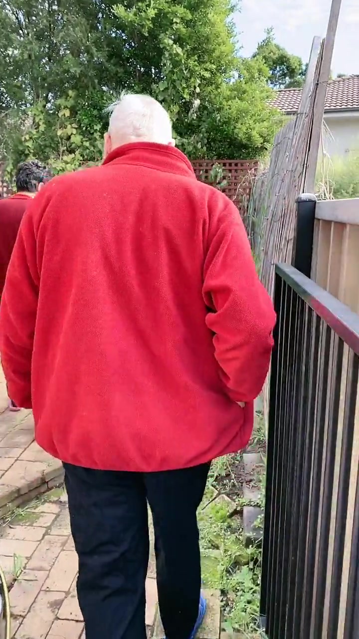 澳大利亚悉尼冬天了,来看看中国丈母娘种的小青菜,白菜,油菜~