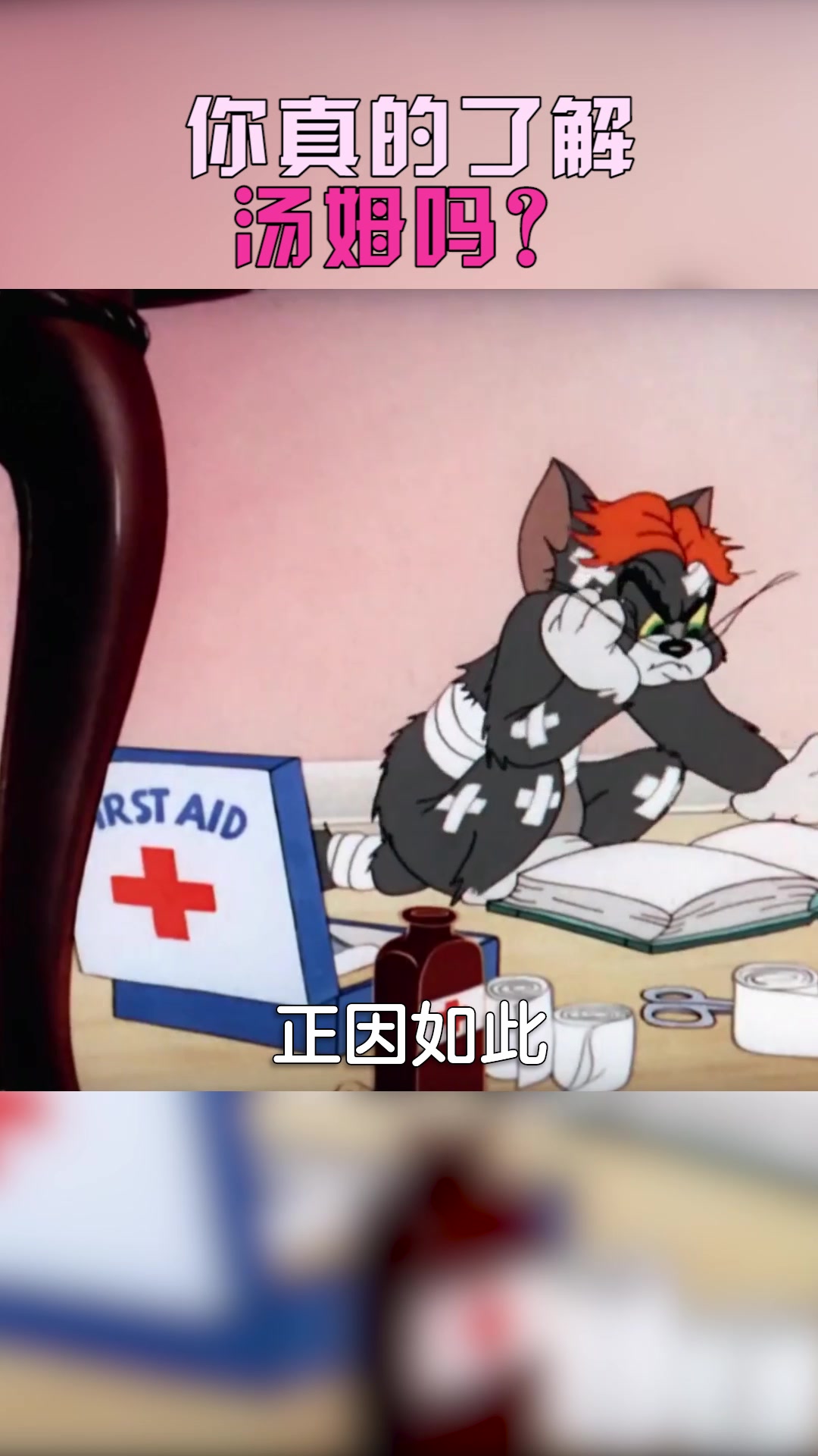猫和老鼠:你真的了解汤姆吗?