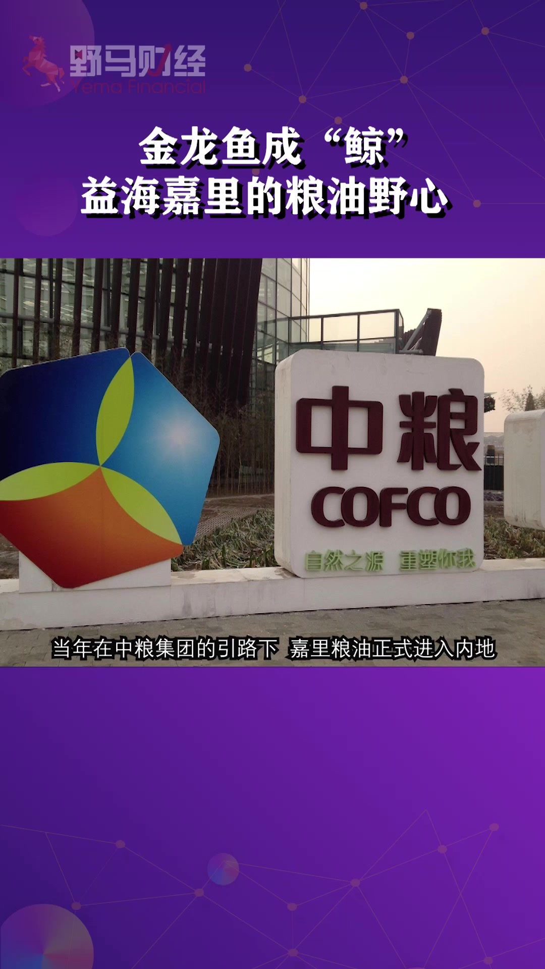 金龙鱼成“鲸”,益海嘉里的粮油野心