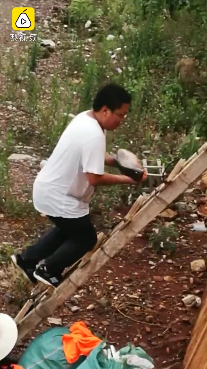 大理西洱河又现“鱼腾”奇景 有人徒手抓