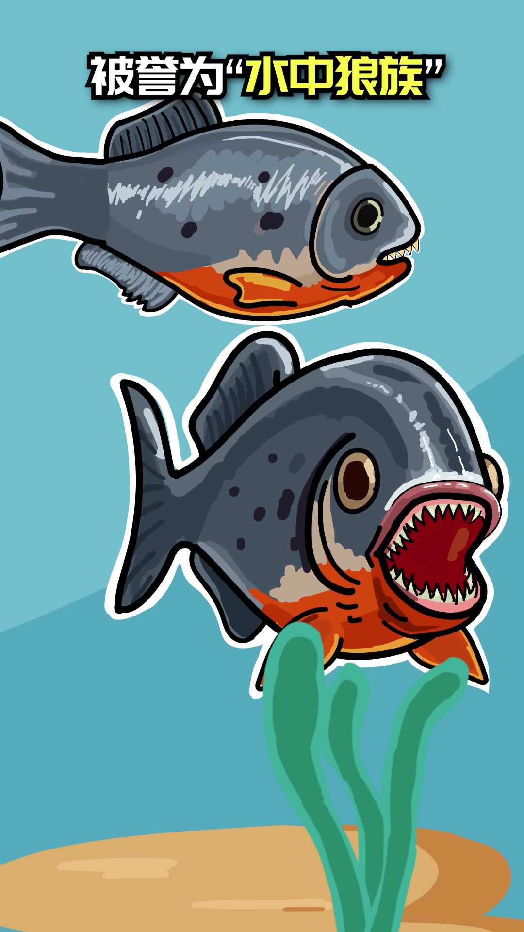 食人鱼?不怕不怕!