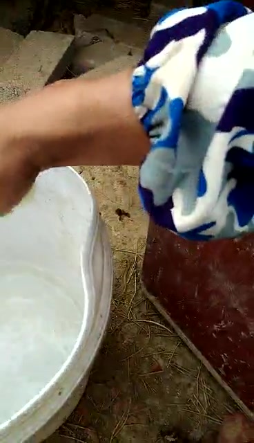 小鸭子出壳24小时后要点水开食,农村养小鸡小鸭的有没有这样做过