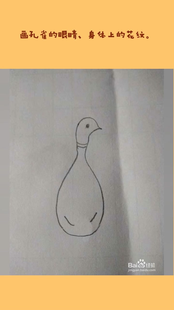 动物简笔画之孔雀