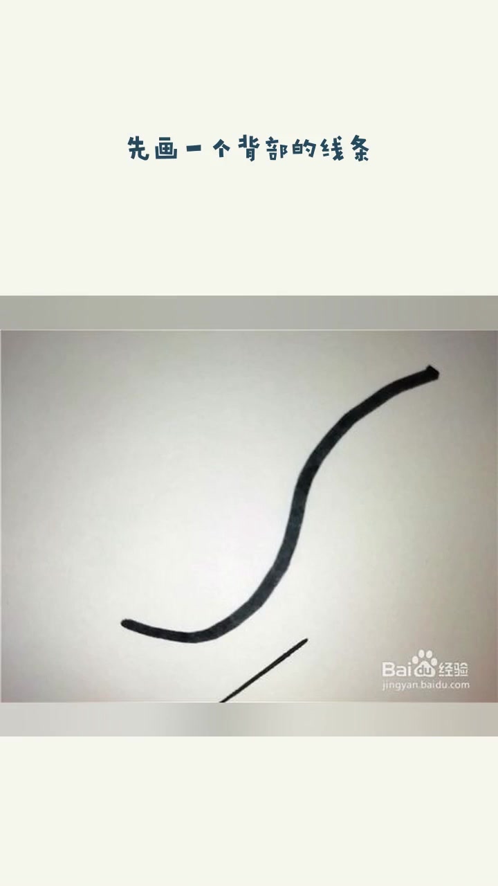 怎么样用简笔画画鲤鱼锦鲤