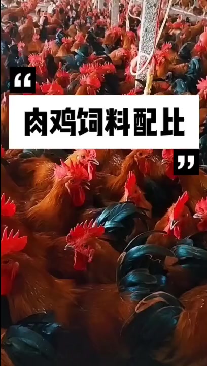 肉鸡饲料配比!!!