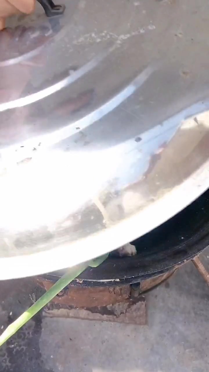 这才是铁锅炖二哈,看到这一幕我笑了,二哈:我不是人但你是真狗