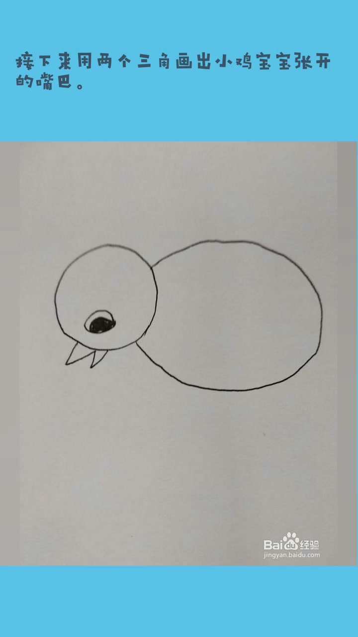 幼儿简笔画:爱吃虫小鸡宝宝的画法