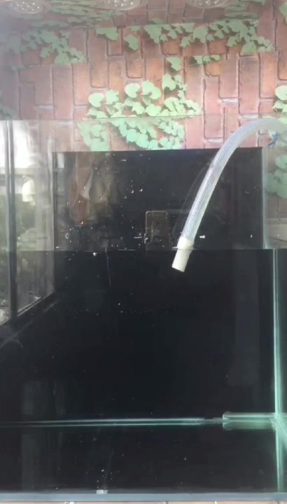 路边捡废旧底滤鱼缸改侧滤小鱼缸安装水管试水