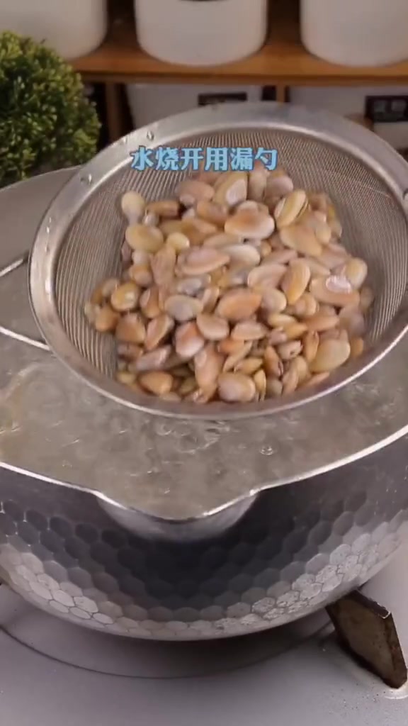 葱油海瓜子,一道有情怀的下酒菜