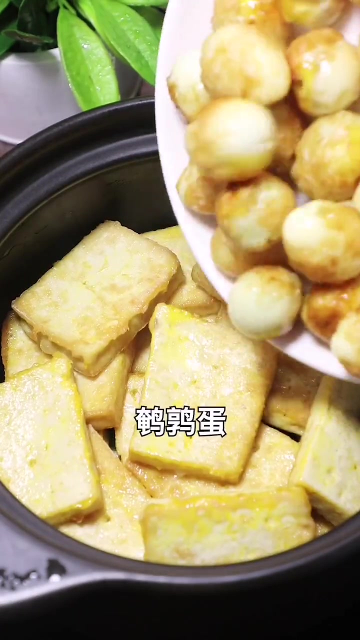 每天不知道做什么菜试试这道砂锅炖肉,全家人都爱吃