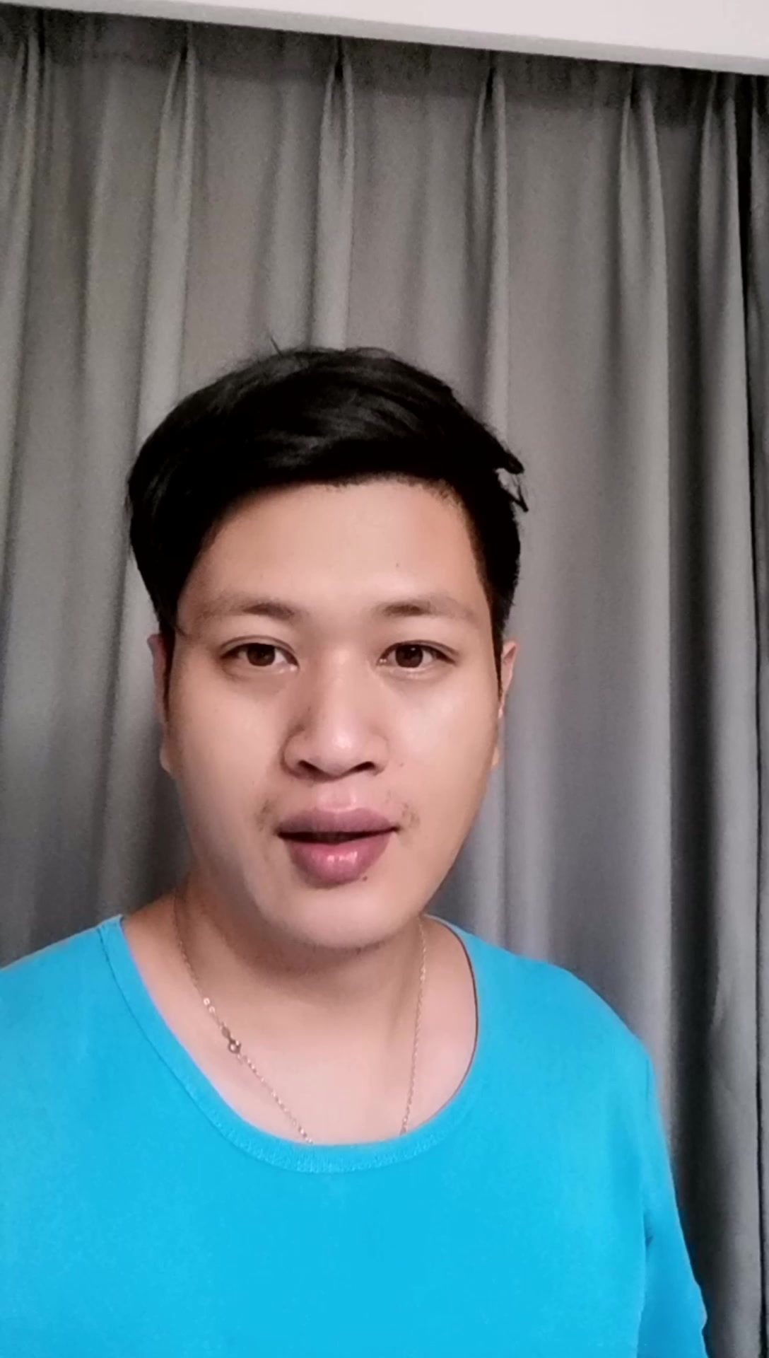 上海口味版红烧素鸡