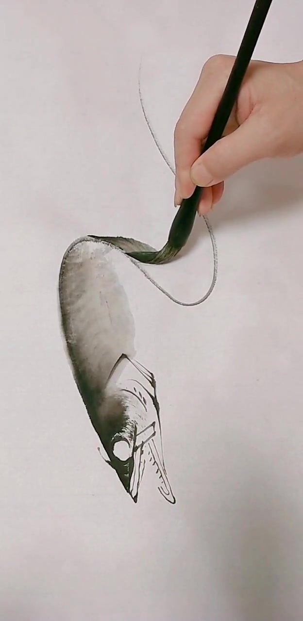 一看就会的带鱼画法
