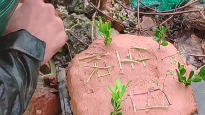 【他们的快乐就这么简单!抗洪战士用泥土和小草做生日蛋糕】武警池州支队上等兵陈浩,在抗洪一线