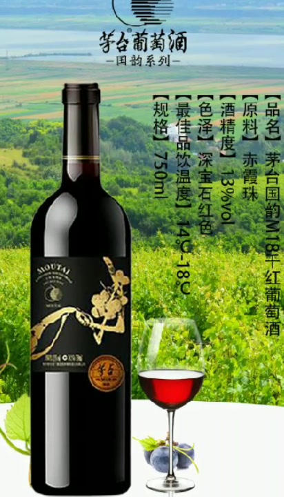 茅台葡萄酒国韵列M30收藏,品尝