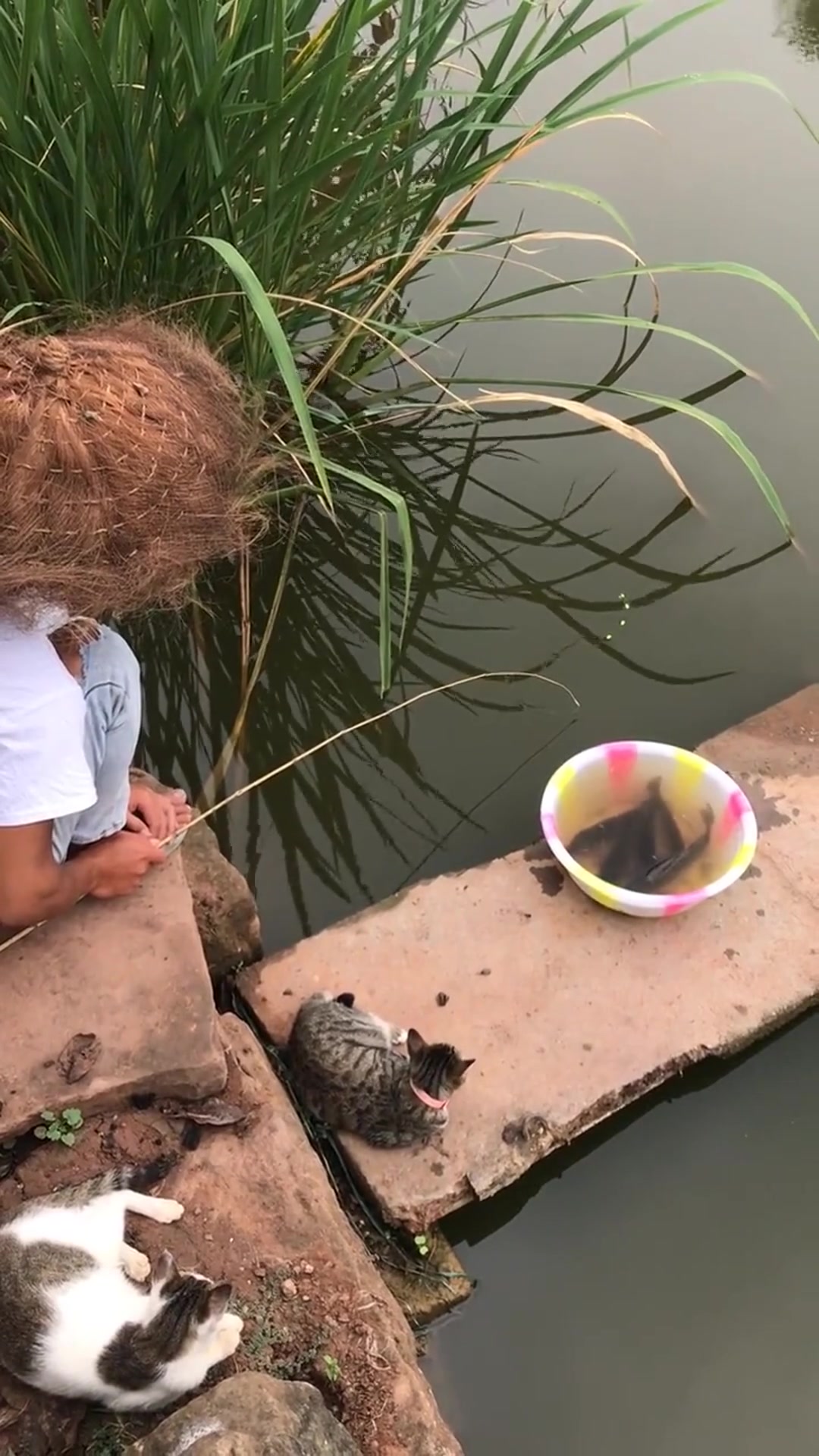 看你钓鱼,感觉智商受到了侮辱,真想把我的鱼竿给砸了