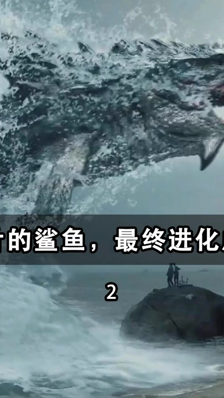 变异的鲨鱼(二)