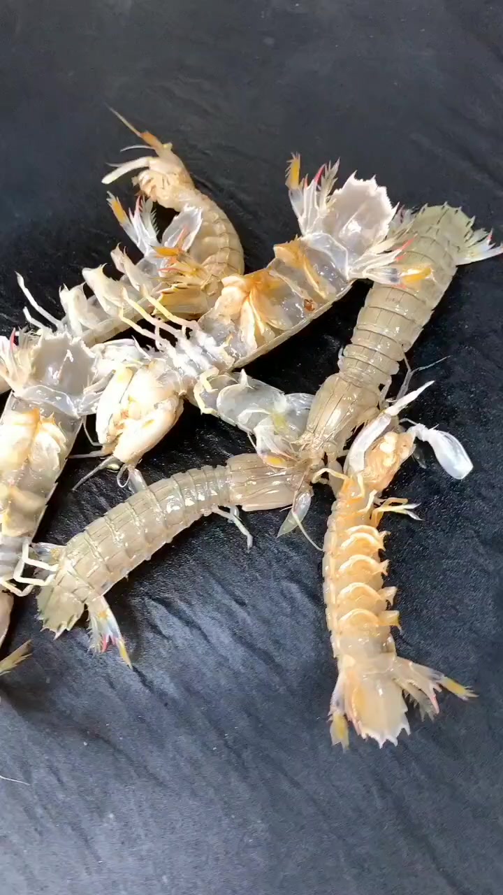 烧烤皮皮虾做法!简单易学