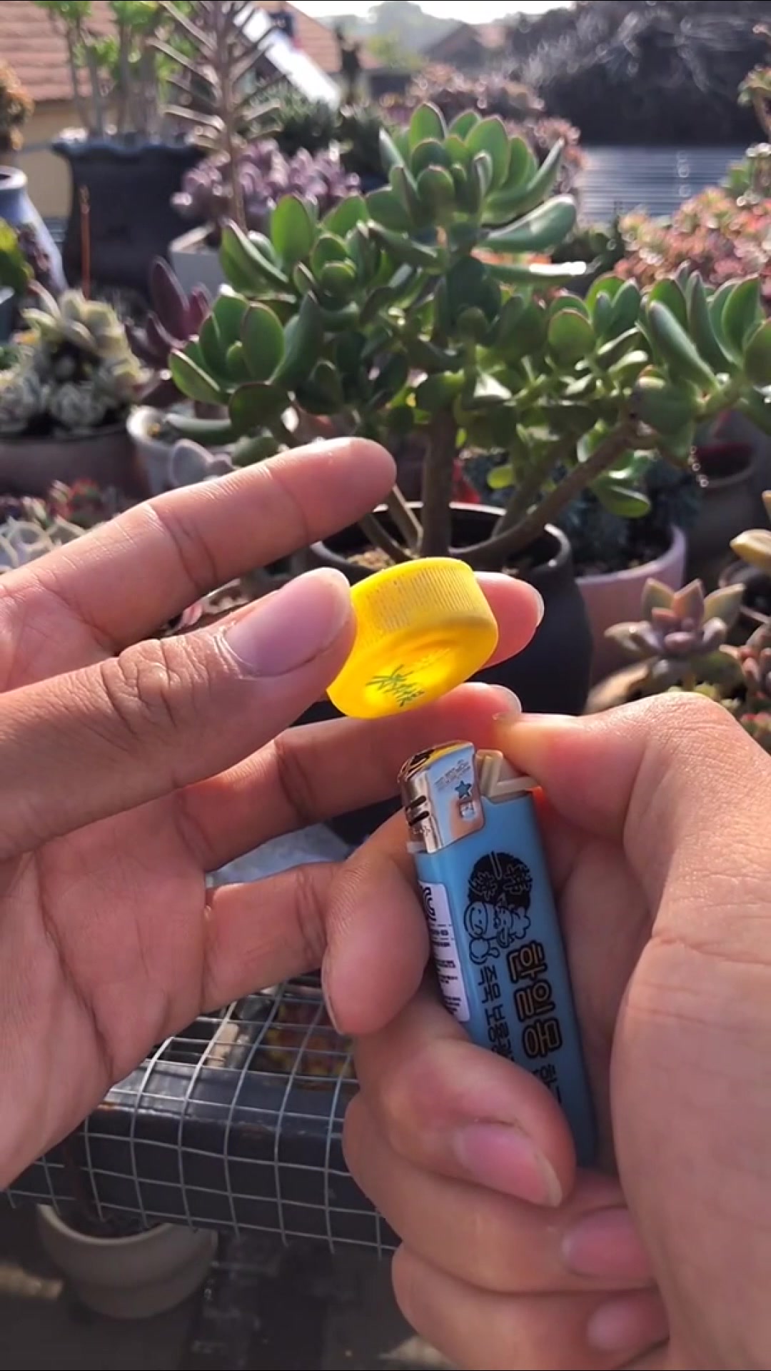 捡了一个塑料瓶,自制多肉浇水壶,你也动手做一个吧