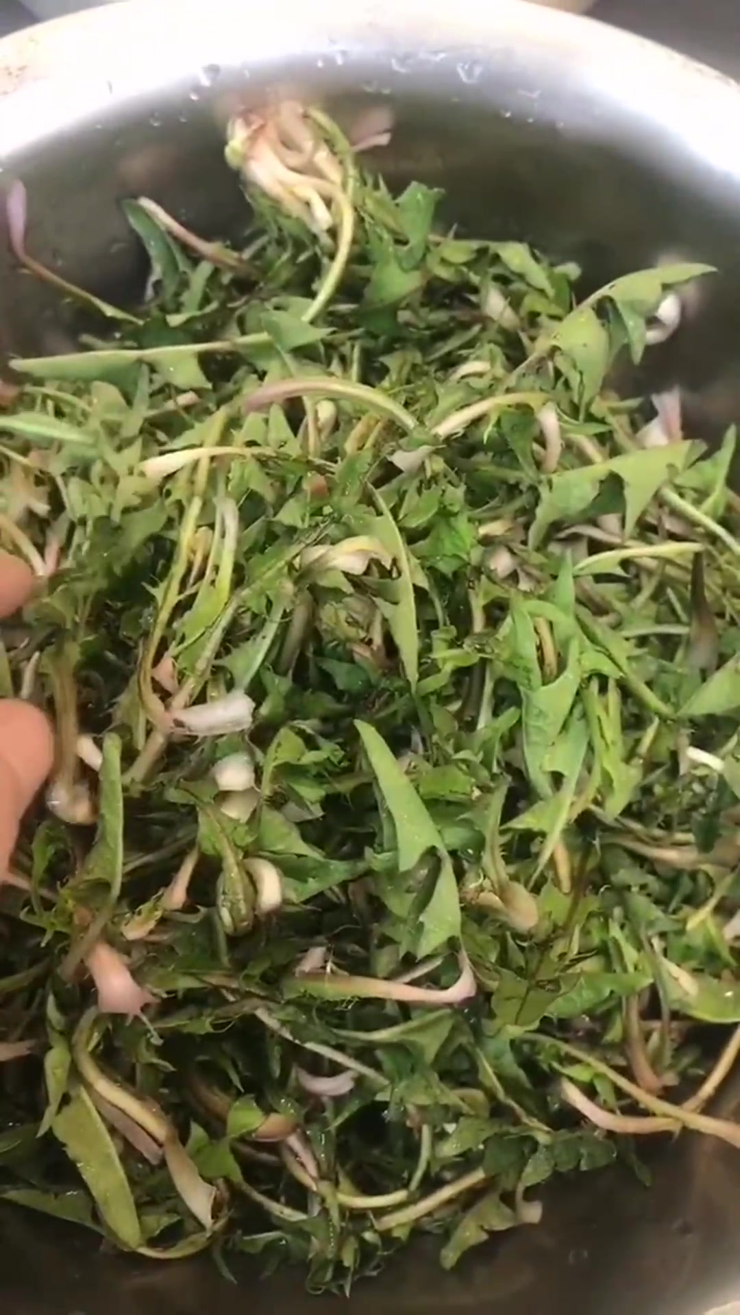 这几种山野菜你吃过几种