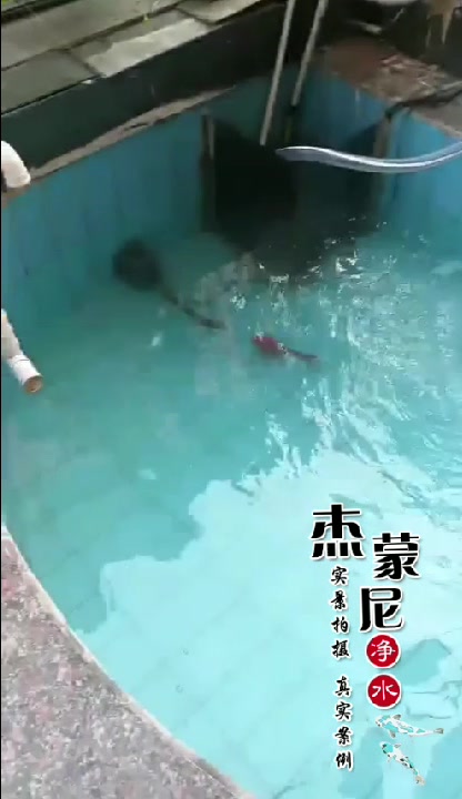 使用鱼池过滤器三天,水质清澈见底!