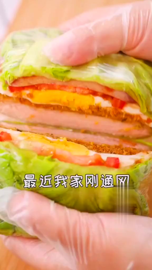 最近我家刚通网,现在做这个蔬菜三明治还来得及吗
