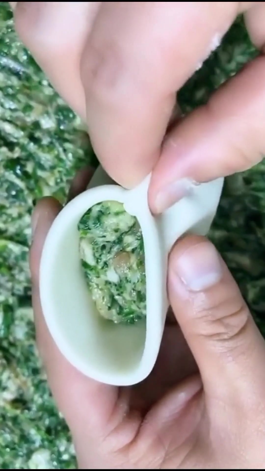 老鼠包子的包法,一看就会