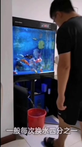 简单实用的鱼缸换水方法