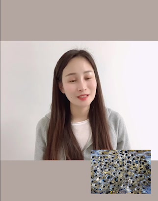 中班科学活动:胎生动物和卵生动物
