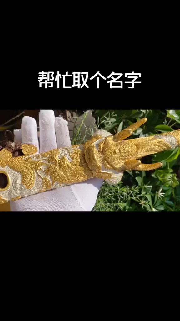 鉴赏,非遗达摩剑