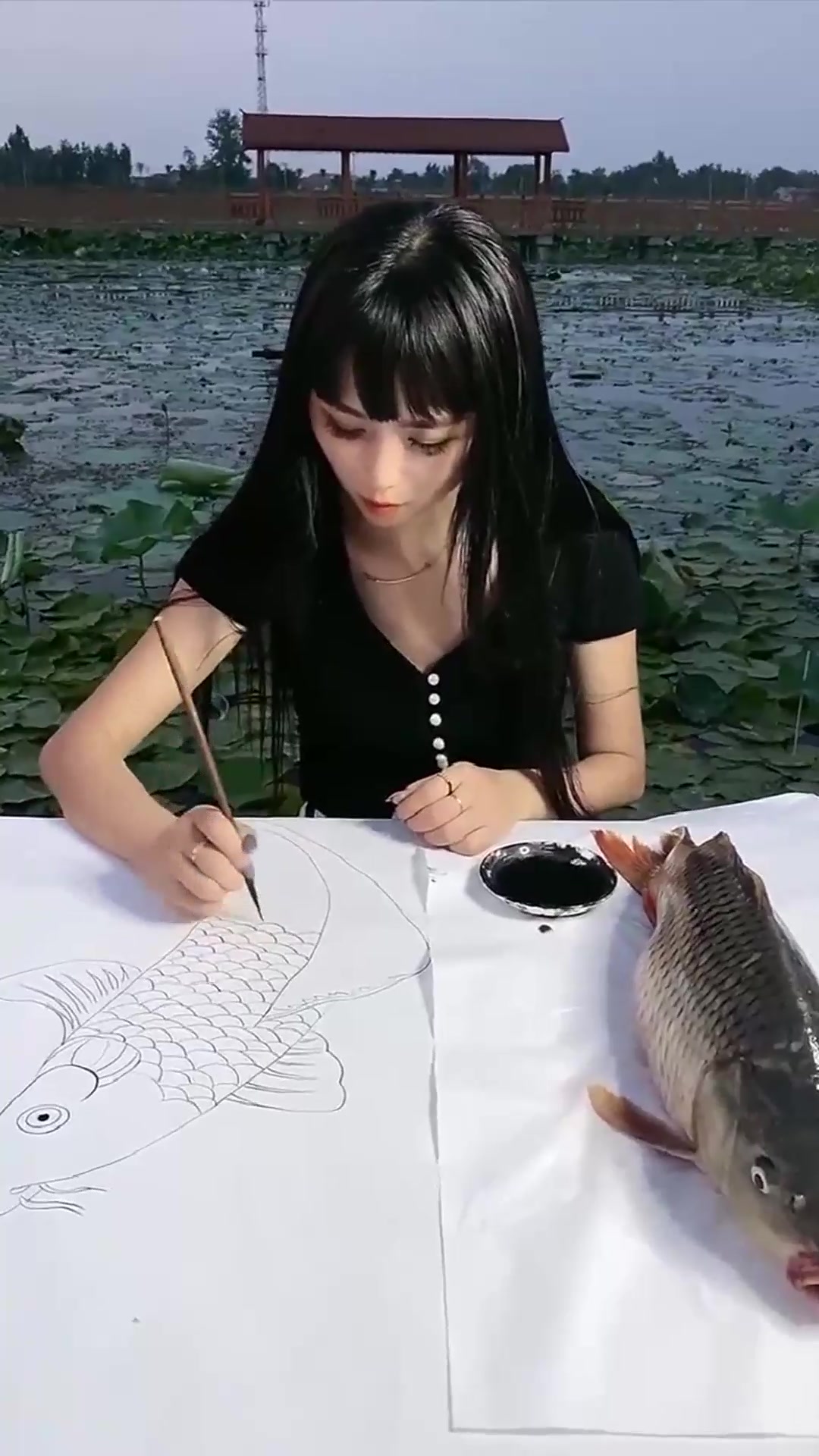 这是画了多少鱼,才能达到这么高的境界,真的让我开眼了