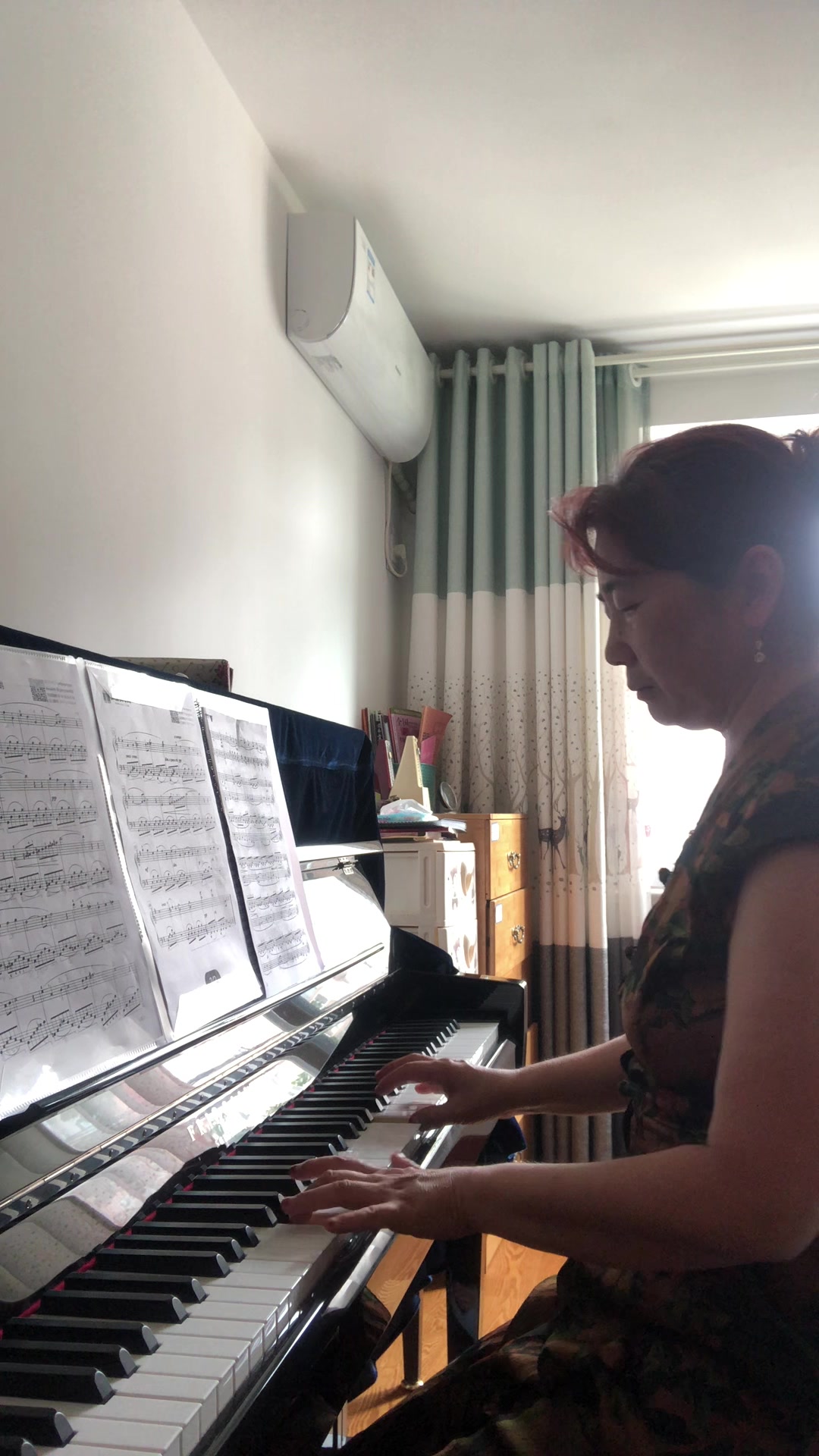 圣桑的《天鹅》远方的琴友传来的曲谱,谢谢您!