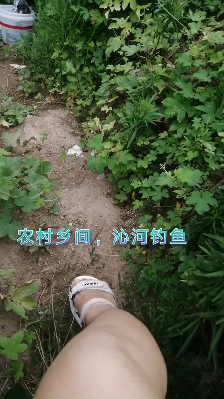 农村乡间,沁河钓鱼