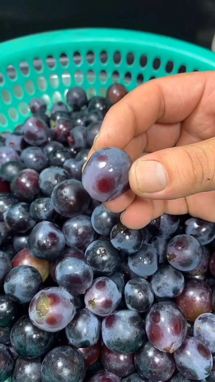 自制葡萄酒,自己在家做的没有任何添加剂