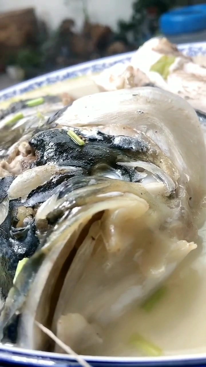 清炖花鲢鱼,这样做出来味道不是一般的鲜!