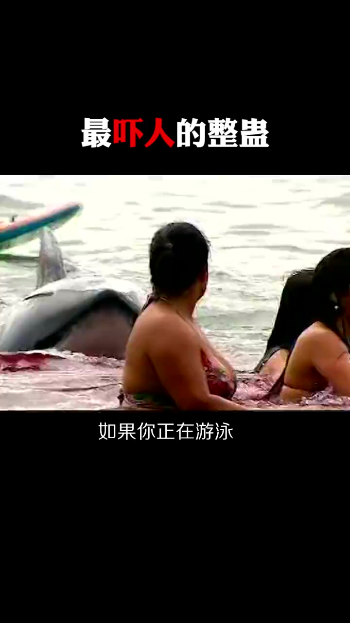 世界上最吓人的整蛊,在河里放了一条鲨鱼,还撒了红色的调料!