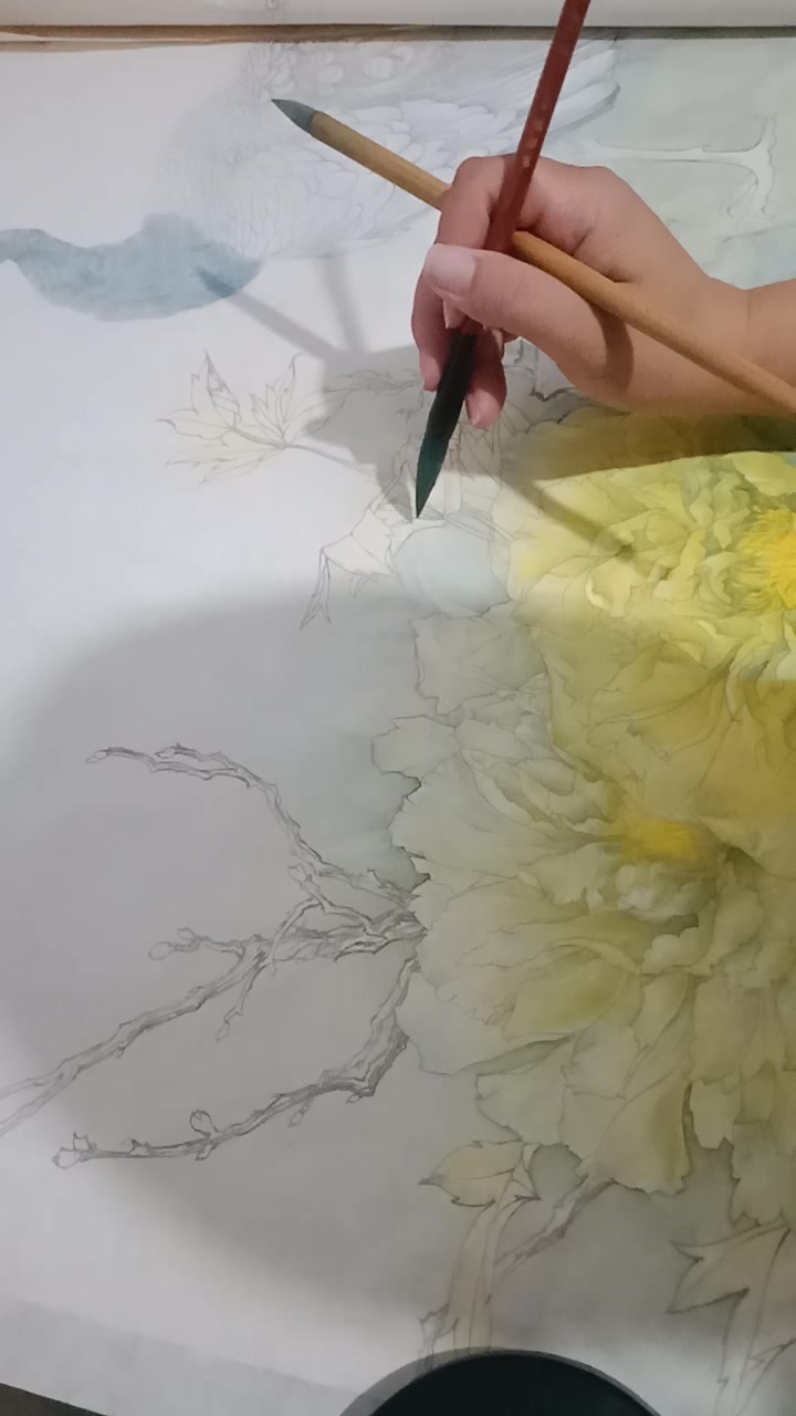 国画工笔孔雀黄牡丹绘制过程,没技法的技法,随心所欲。未完待续