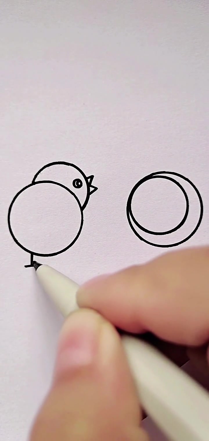 简笔画:教你简单画小鸡