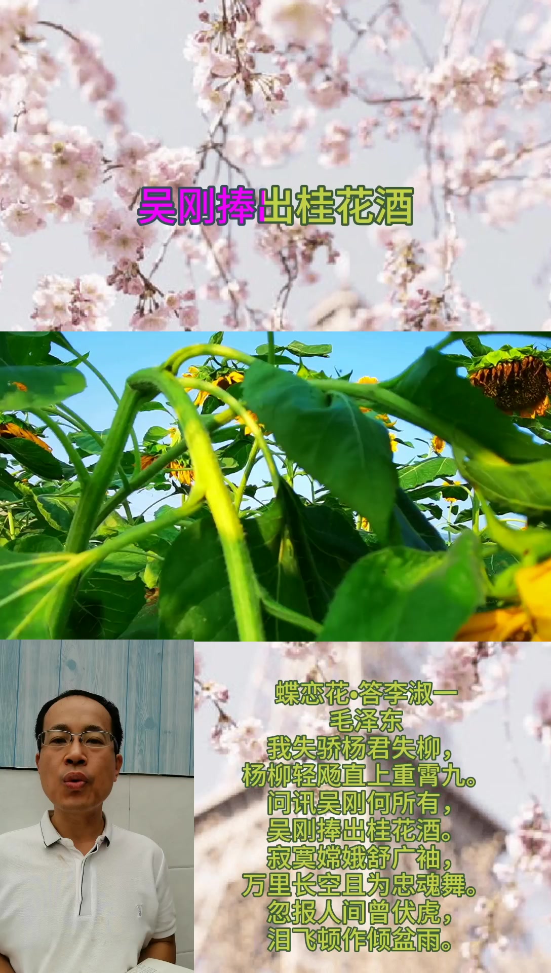 学宋祖英朗诵毛主席诗词《蝶恋花答李淑一》,七夕节诗词系列祝福