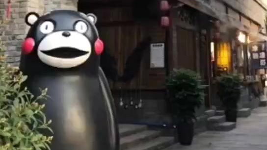 熊本熊冲到重庆江边一脸懵:我是谁?我在哪?我干了什么?潇湘晨报  