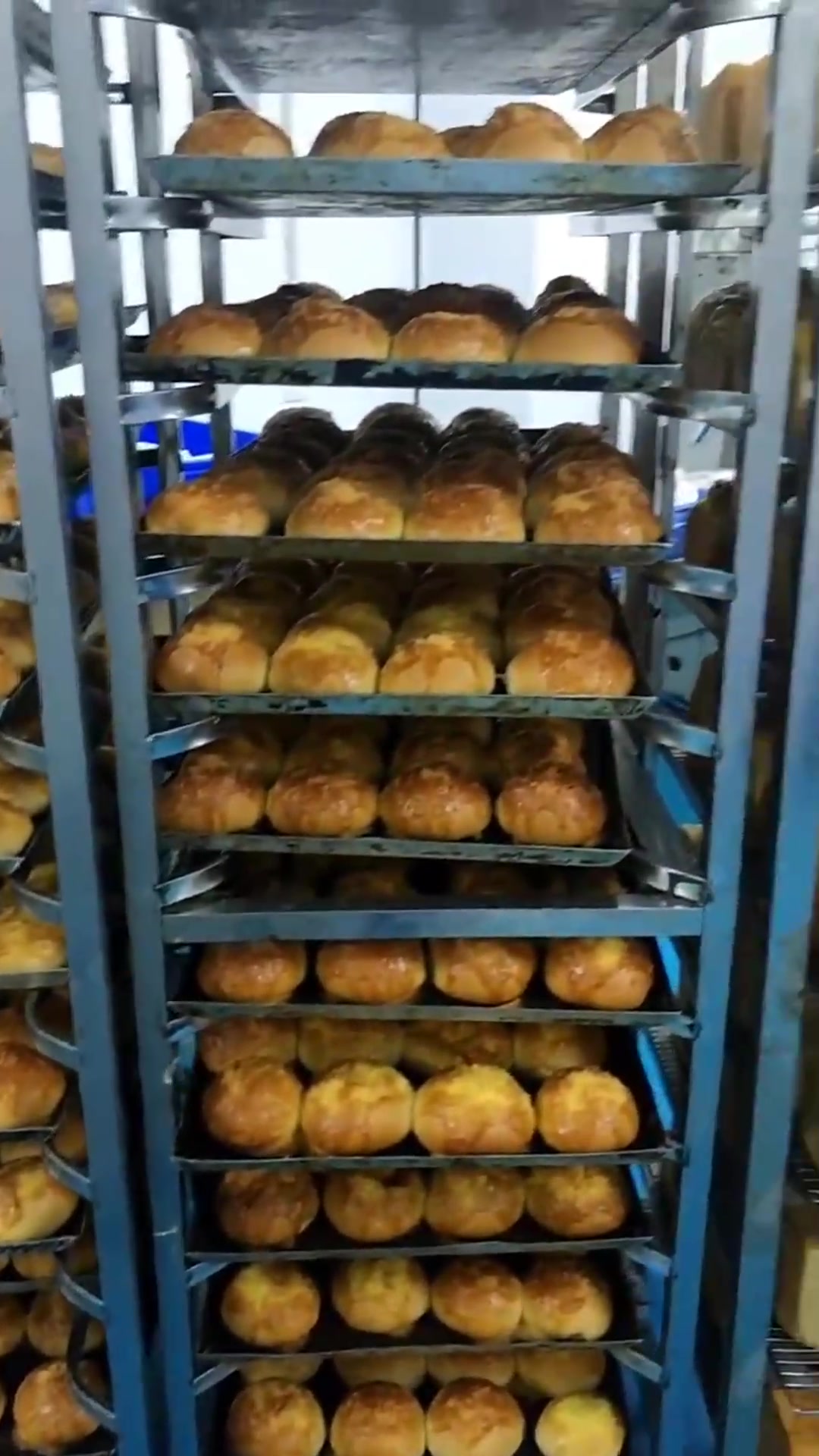 这里都是美味的面包,架子上全都是,而且种类不一样